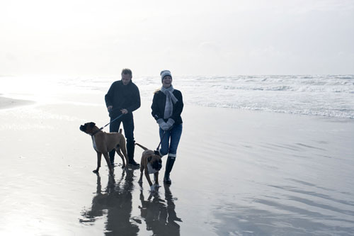 Tur på stranden med hund