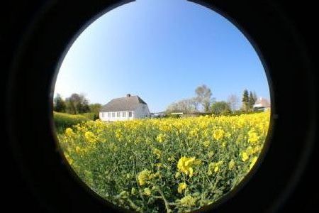 Hyggelig feriehus i den fynske natur hvor der udenfor er 
frit udsyn til
stjernehimlen